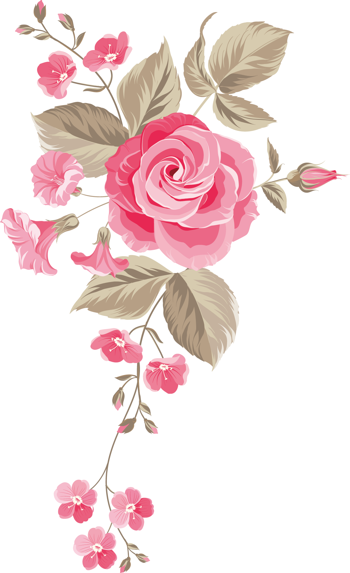 عکس Png گل رز نقاشی گل رز Rose Flower Png Download دانلود رایگان