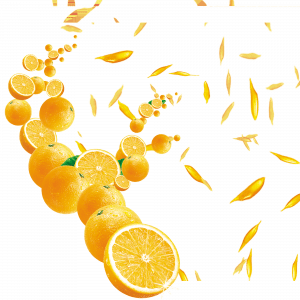  عکس پرتقال کارتونی