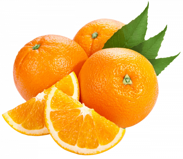 PNG Orange Fruit Free – Free Download