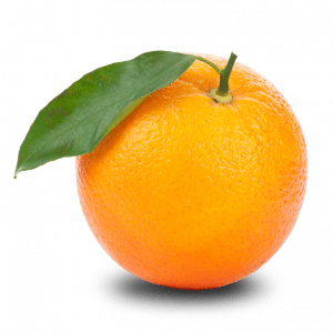 عکس پرتقال نقاشی