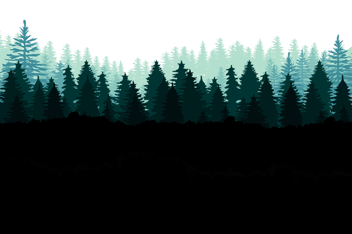 Dark PNG Forest – FREE DOWNLOAD