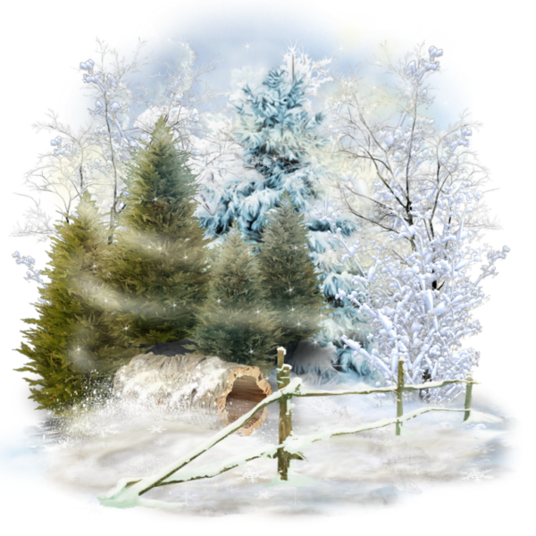 دانلود PNG درختان در زمستان - Tree in Winter PNG – دانلود رایگان