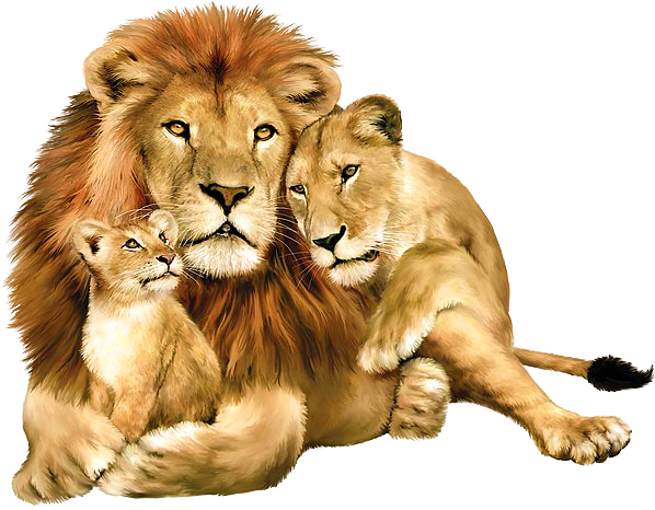 Lion PNG Background – Free Download
