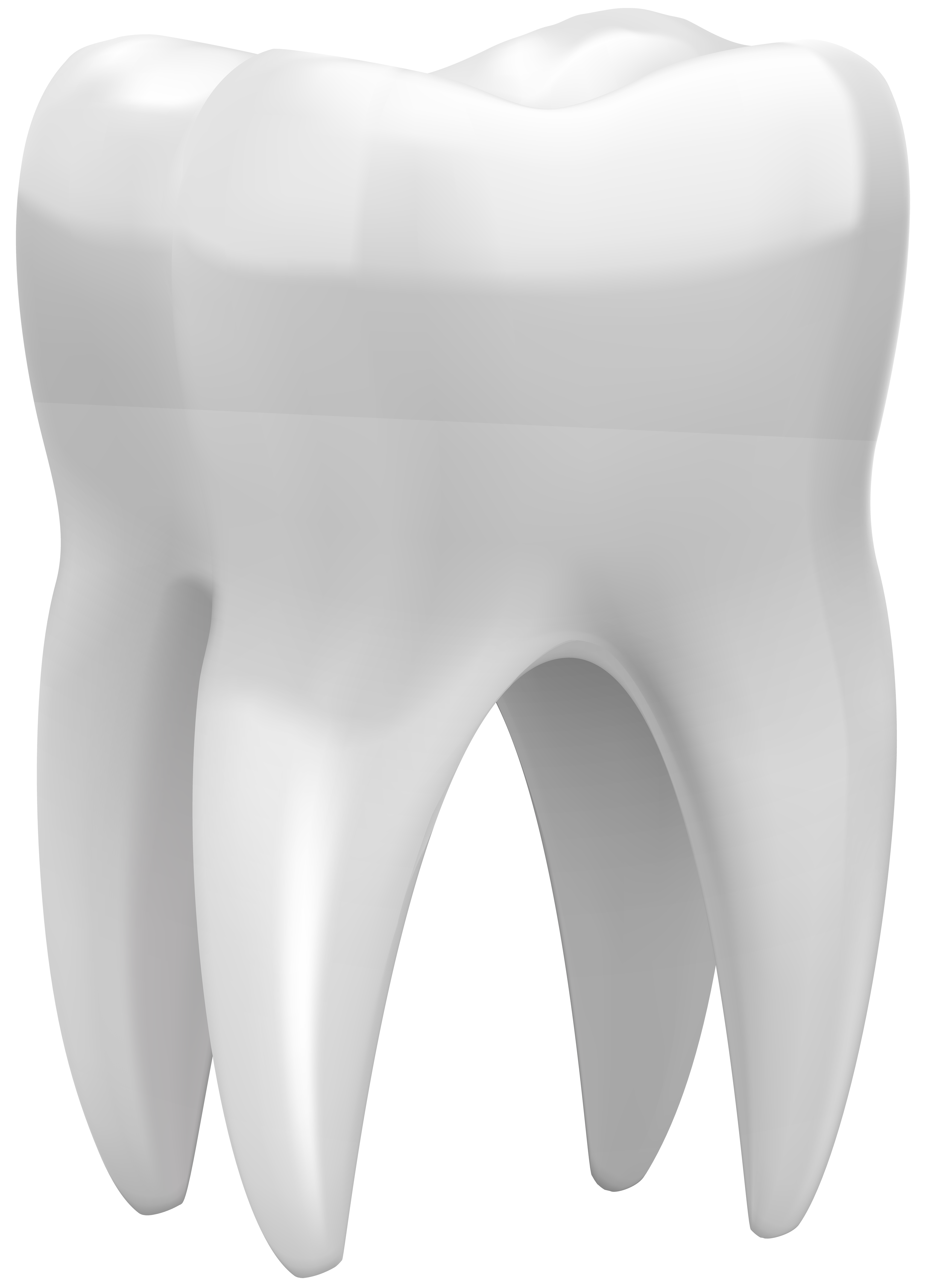 Free Png Tooth Free Download