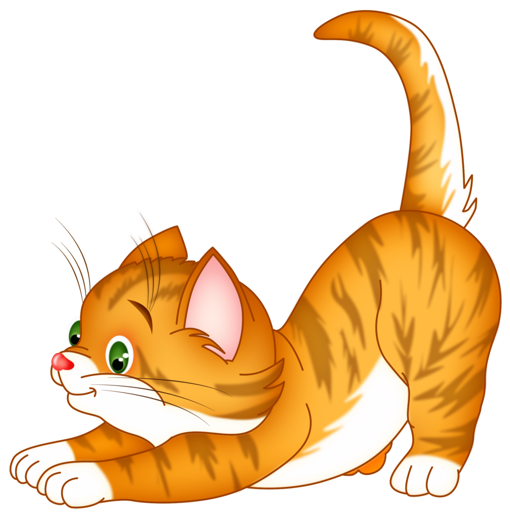 Cartoon Cat PNG – Free Download