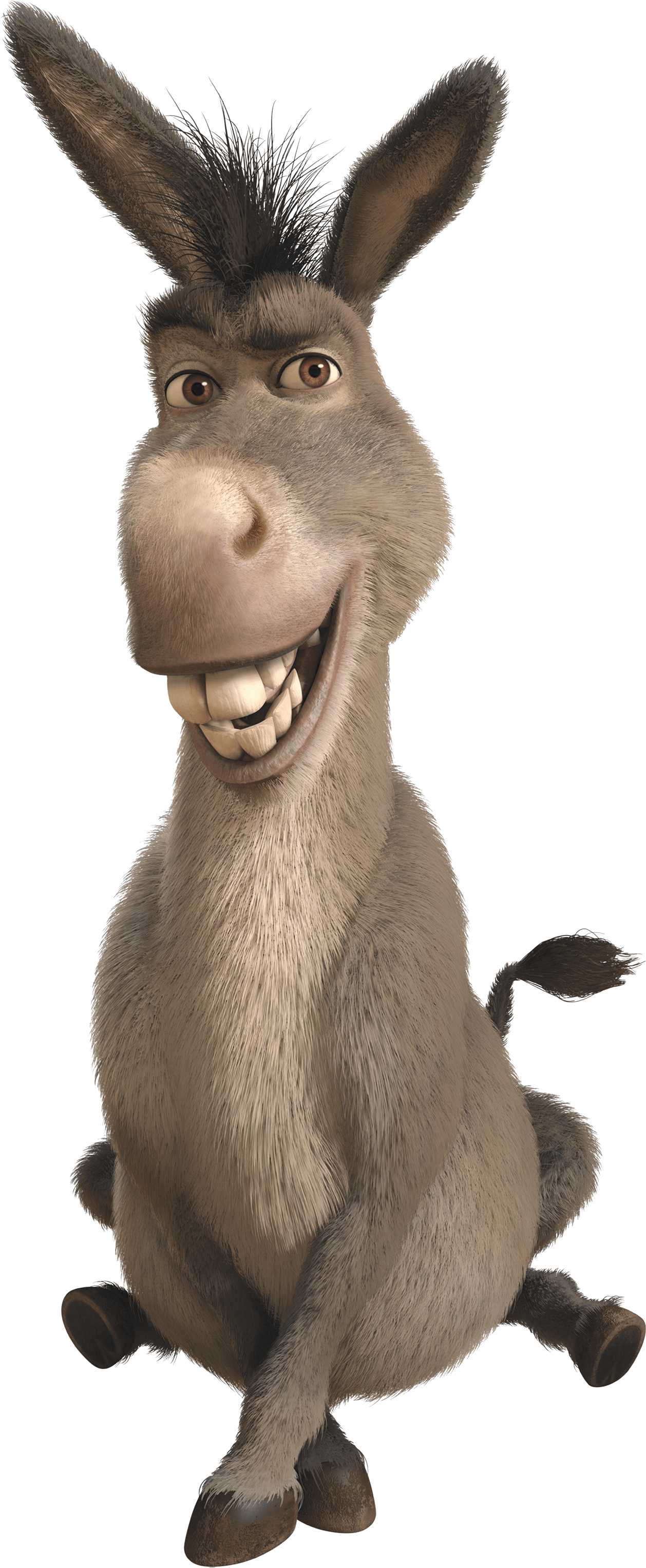 Donkey From Shrek PNG – Free Download