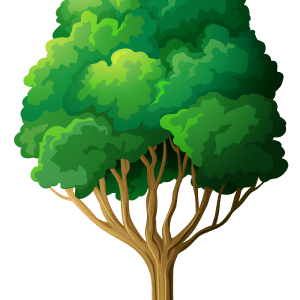 Heart Tree PNG – Free Download