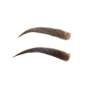 Eyebrow PNG Free Download
