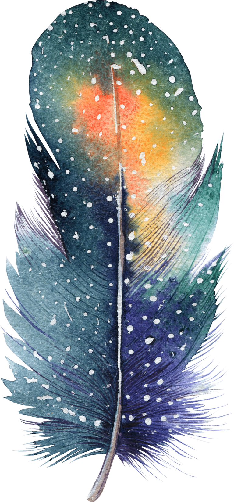 Feather PNG Transparent - Free Download
