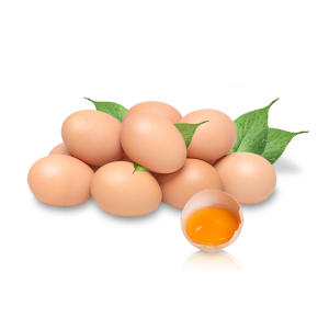Eggs in the basket 22794153 PNG