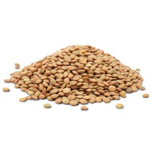 Lentil PNG Download