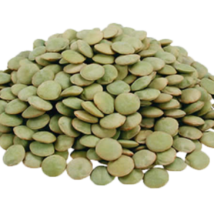 Green Lentil PNG