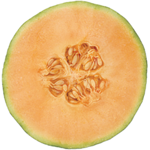 PNG طالبی نصف شده - Cantaloupe Cut In Half PNG