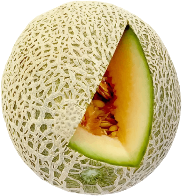 PNG طالبی برش خورده - PNG Cut Cantaloupe