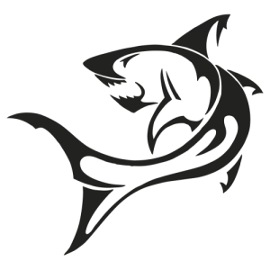 PNG ایکون کوسه - Icon Shark PNG