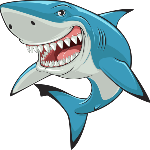 PNG کوسه کارتونی - Shark Cartoon PNG
